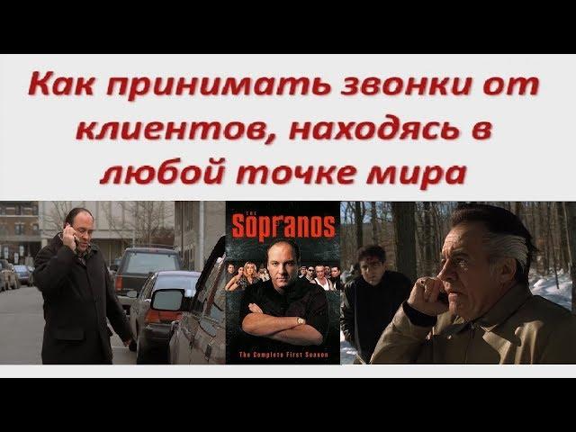 Как Звонить и Принимать Звонки  Бесплатно — Zadarma