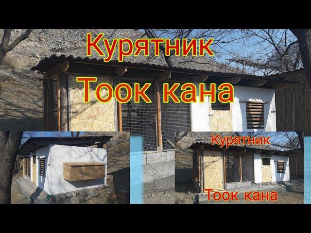 Курятникти кандай салуу керек / оз колум менен салынган тоок кана