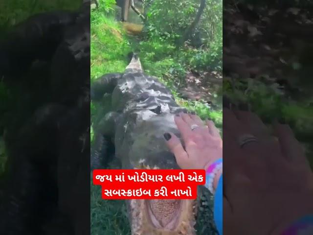 Jay maa khodiyar ️