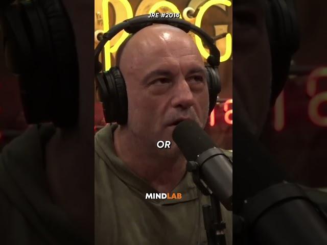 Joe Rogan EXPOSES The Truth Behind Recycling