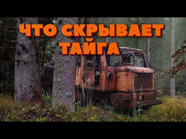 НАХОДКА В ТАЙГЕ. Что можно найти в лесах Горной Шории.