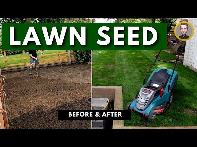 How To Grow A Lawn From Grass Seed (before & after)