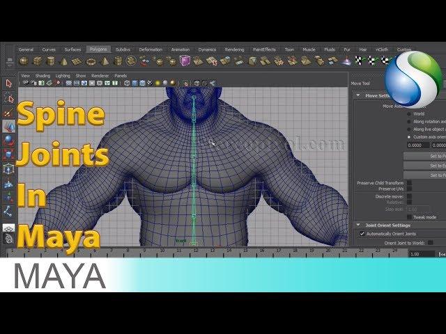 Rigging In Maya Chapter 02 - Spine Joints