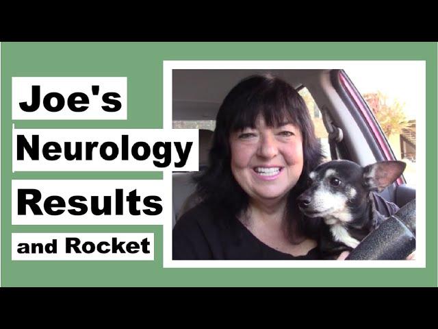 Joe's Neurology Results and Rocket