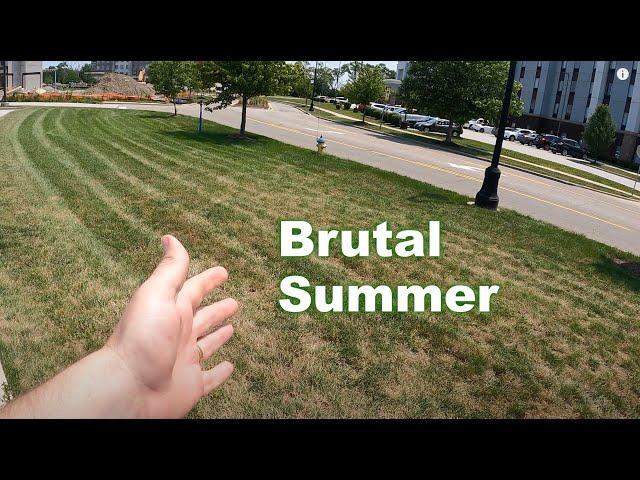 Cool Season Summer Lawn Tips | Crabgrass and Summer Fertilizer