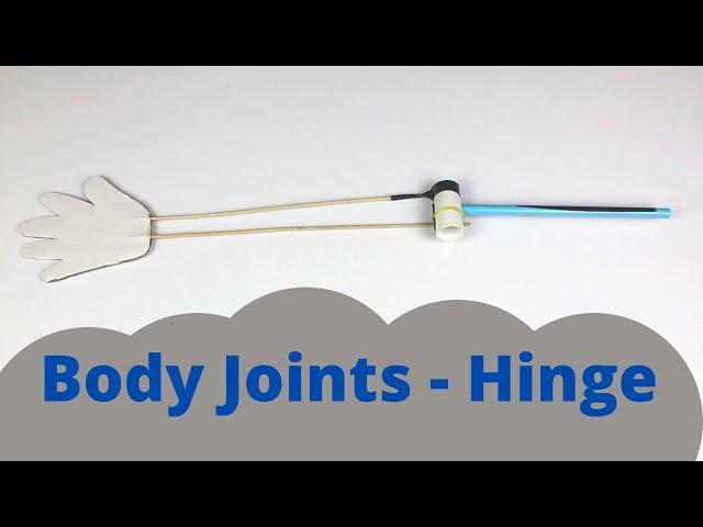 Body Joints - Hinge | ThinkTac | DIY Science