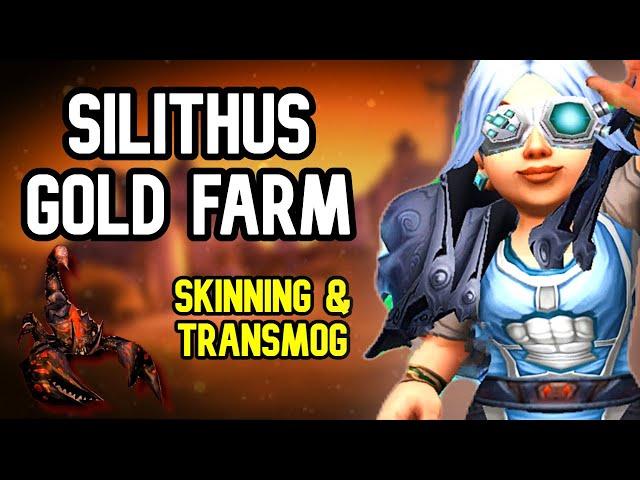 SILITHUS GOLD FARM: Skinning & Transmog for Epic WoW Profits