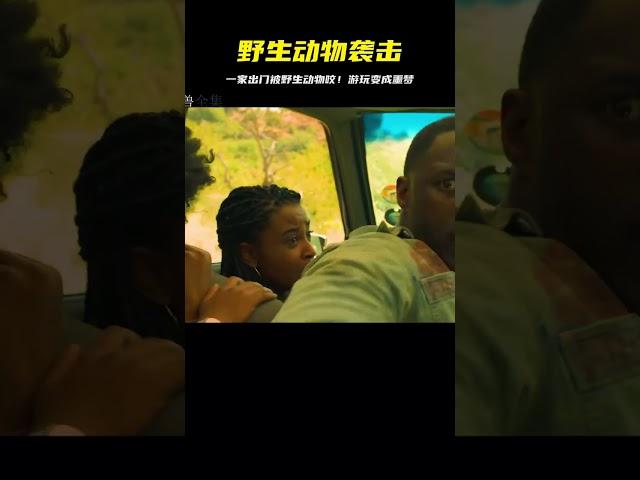 一家子出門游玩 沒想到卻遭到動物襲擊 #电影 #电影解说 #影视 #影视解说 #剧情