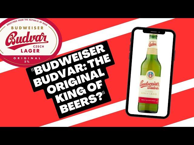 BUDWEISER BUDVAR - Czech Lager Beer Review! #beer #beerreview #beerlovers #czech #supermarket