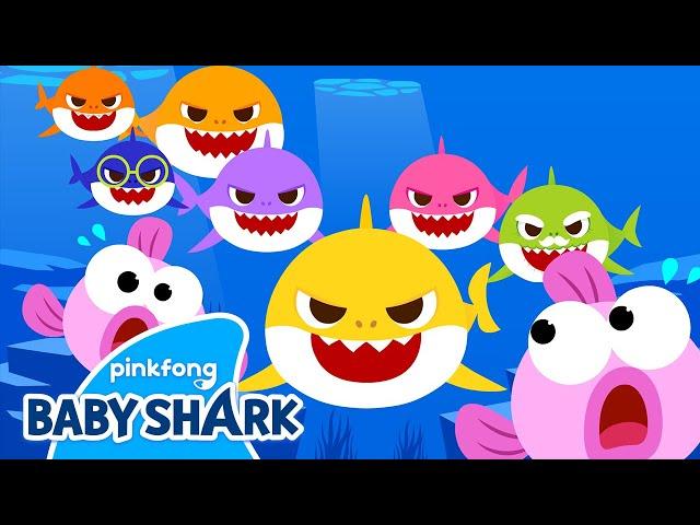 Meet Baby Shark Brooklyn's Whole Family! | Baby Shark More and More | Baby Shark Official