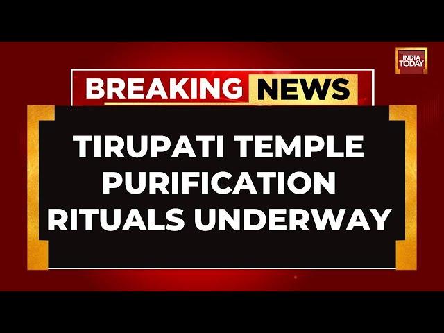 Tirumala Tirupati Temple Purification Rituals Begin Ahead of Brahmotsavam