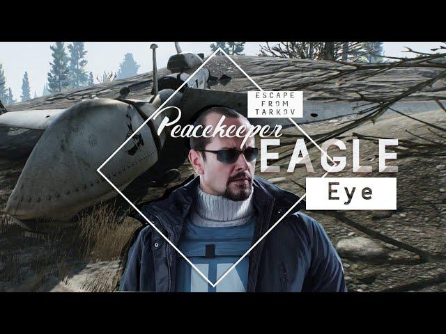 Escape from Tarkov Peacekeeper Eagle Eye Quest