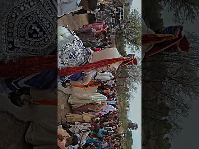 New #timlidance pankaj parmar timli dance #aadivasi timli dance #shortvideo