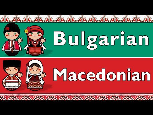 BULGARIAN & MACEDONIAN LANGUAGES