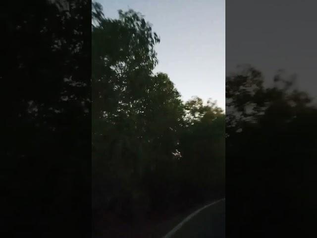 Nature  #reels #shorts #naturelovers #naturephotography #youtube