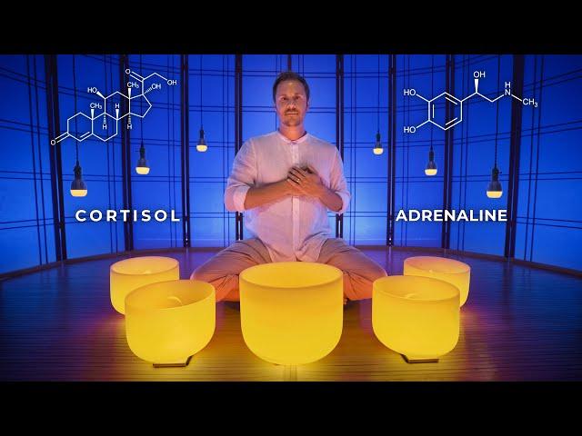 Adrenal Gland Sound Bath  |  Crystal Singing Bowl Hormone Cleanse  |  Cortisol and Adrenaline