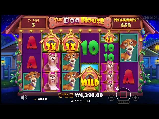 [슬롯][슬롯 실시간] **도그메 700**소통하는 방송!!!![시아 슬롯] #슬롯 #슬롯실시간 #슬롯머신 #프라그마틱 #슬롯방송