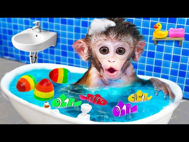 Monkey Baby Bon Bon opens surprise colorful eggs nemo fish with ducklings at the pool | Kudo maymun