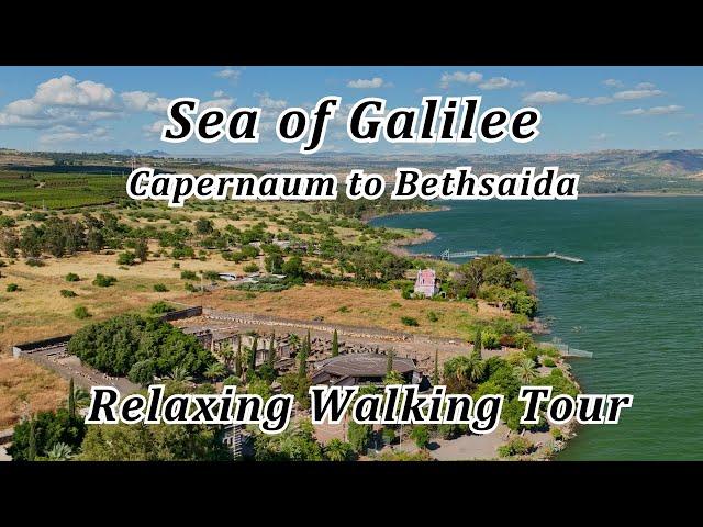 Capernaum to Bethsaida Relaxing Walk Tour! Walk in the Footsteps of Jesus, Enjoy the Sea of Galilee!