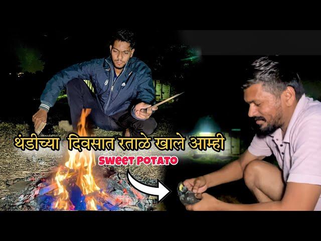 थंडीच्या  दिवसात रताळे खाले आम्ही | sweet potato | sweet potatoes | Marathi Vlogs | Aayush Dalvi