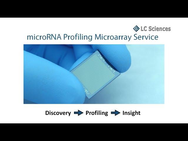microRNA Microarray Service