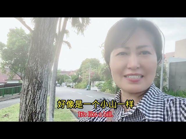 这是新加坡的富人区吗？路好窄