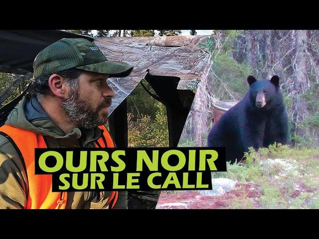 Ours noir sur le call - Aventures Nipissi | Roadhunt - Saison 5 Épisode 7