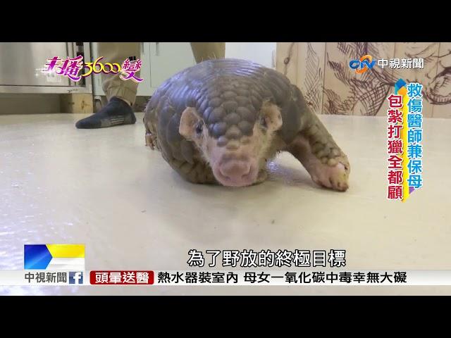 主播3600變~ 哈遠儀 野生動物的急診醫師! 飛禽猛獸都能醫│中視新聞特別企劃 20180117