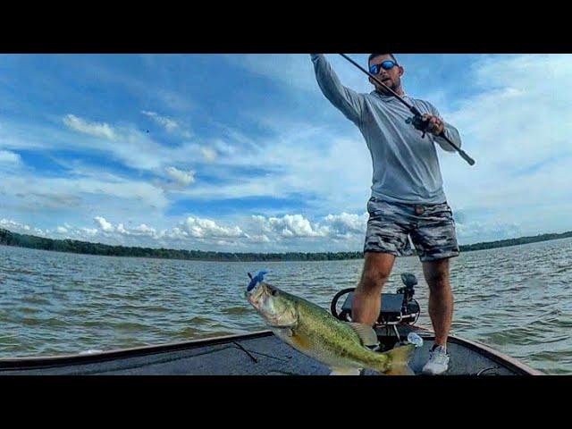 Quick Trip after Work | Bussey Brake | bass fishing | Post spawn | Shad Spawn | ShortDeCorte