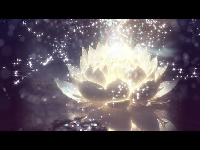 ancient meditation: Lotus Meditation Ｍusic,meditation music relax mind body,positive energy