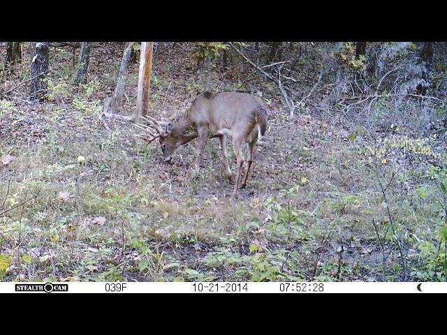 Big Hollow Recreation Area - iowa public hunting.