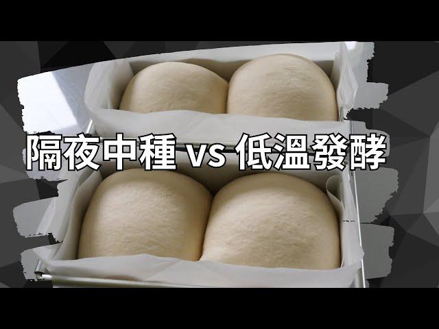 隔夜中種法vs低溫發酵法 製作免揉牛奶吐司  誰比較厲害呢?