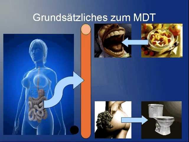 Magen-Darm-Trakt 1/2