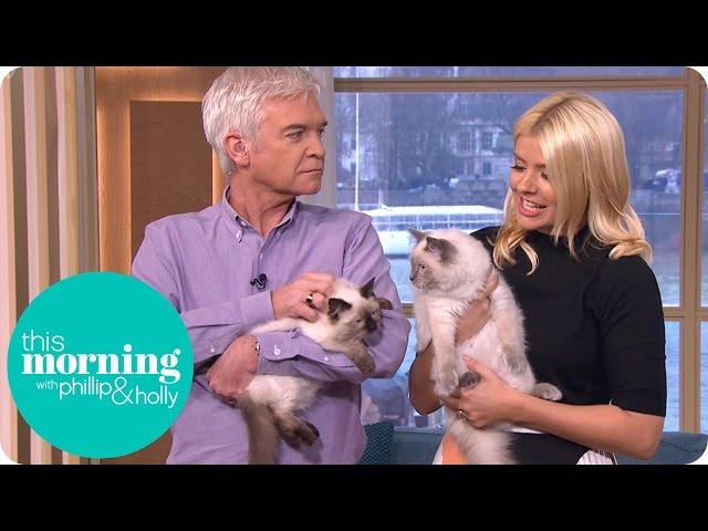 Holly Brings in Her Adorable Kittens for Some Cat Training | This Morning