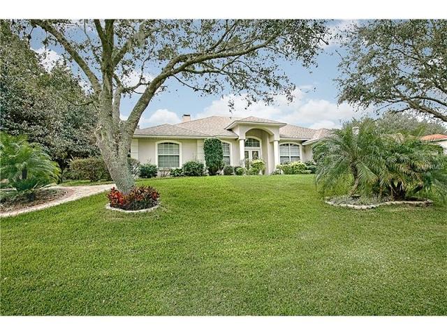 11036 BRONSON RD, CLERMONT, FL 34711