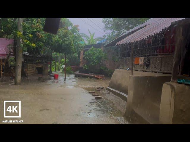 Bangladeshi village rain walk | Very heavy rain on village | Village rain | Village life | Rainy day