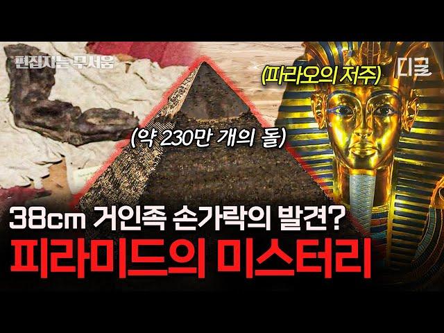 [#벌거벗은세계사] (90분) 아직도 풀리지 않은 이집트의 미스터리  황금 혀를 가진 미라?! 피임 약까지 존재!