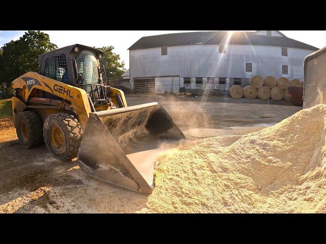 New guy in the skid loader and more Silage