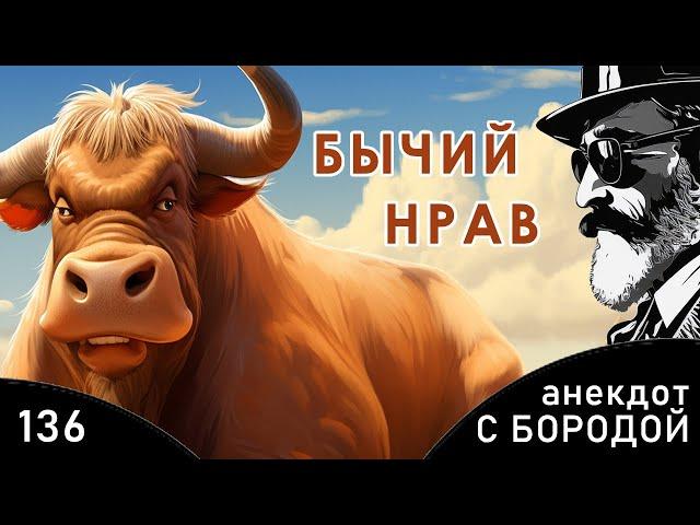 Анекдот с бородой, выпуск 136. Бычий нрав