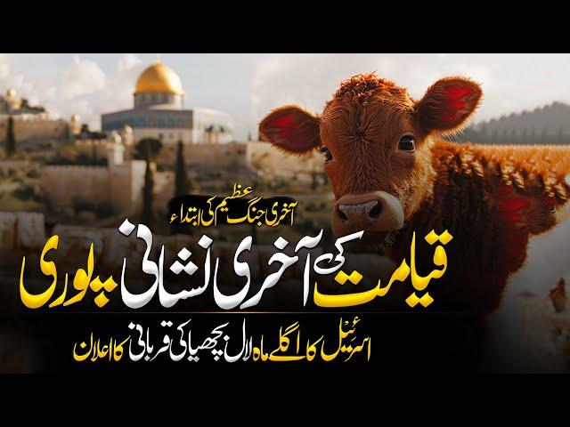 Israel Sacrificing Red Heifer In April | Qiyamat Ki Bari Nishani | Red Cow Sacrifice | MuslimMatters