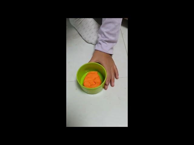 스톱모션