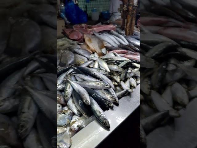 fresh na fresh ang mga fish at squid