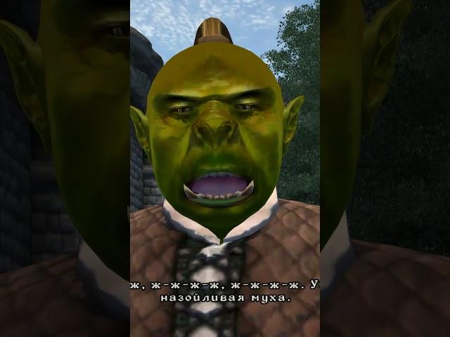 Ж - ж - ж - ж - ж :The Elder Scrolls IV Oblivion NPC