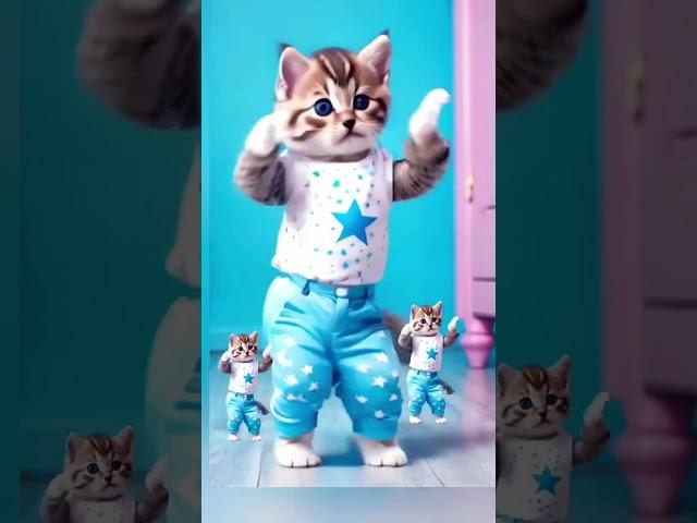 Cat video funny dance #dancingcat #funnycat #viralvideos #catsofworld