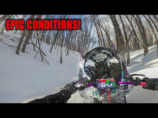 Michigan Backcountry Snowmobiling! Fresh Pow & Blue Skies