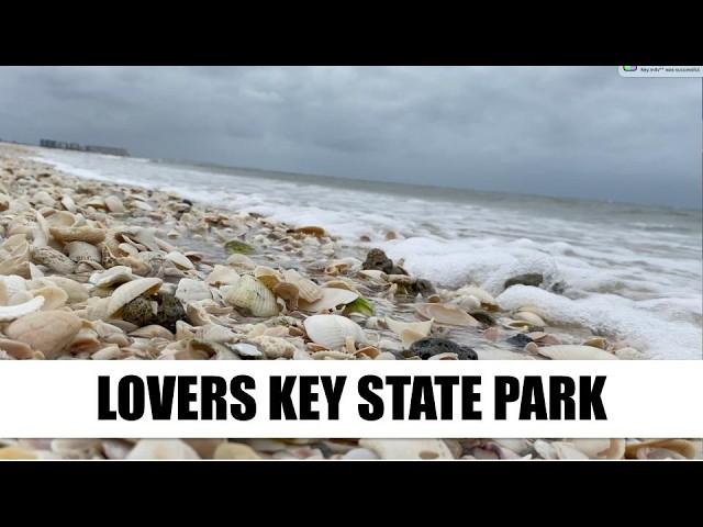 Florida virtual shelling. Lovers Key State Park is open after Hurricane Milton.