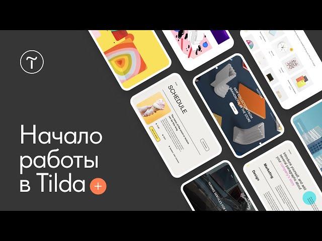 Начало работы в Тильде: как создать сайт