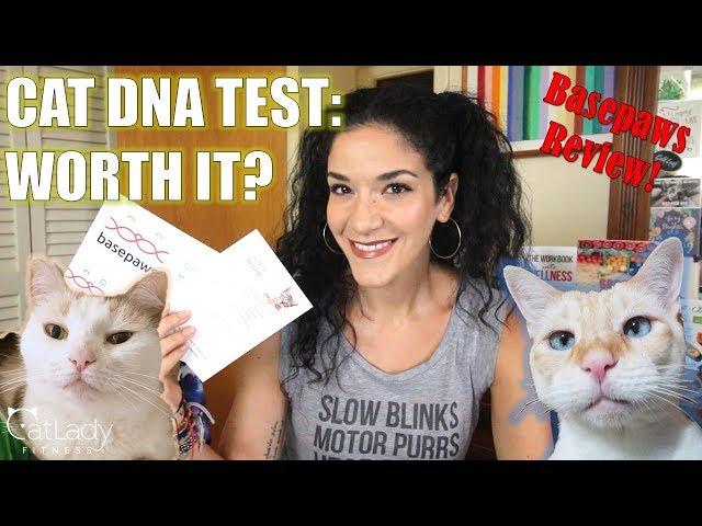 FINALLY giving my Cat a DNA TEST! (Basepaws CatKit Review) - Cat Lady Fitness