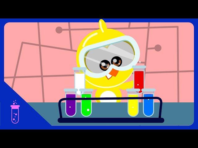 Lottie Dottie Mini | The Color Lab - Pink | Kids Cartoons