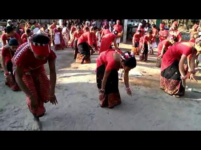 Majuli Gumrag Nritya(dance) by Rakesh Pegu's team